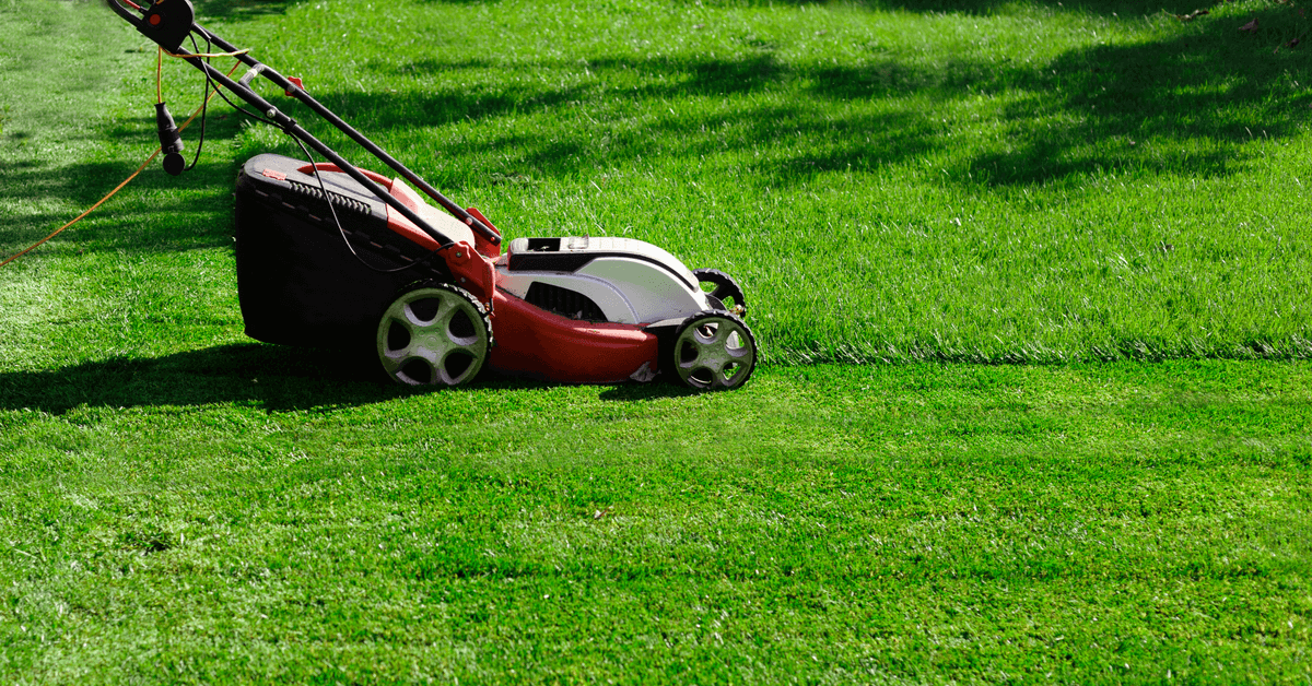 Calgary lawn mowing services