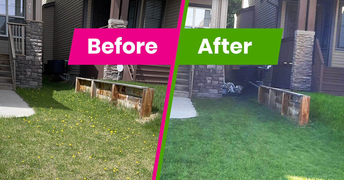lawn care packages in calgary