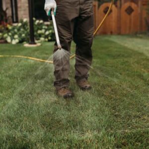 Weed Control Service in Calgary