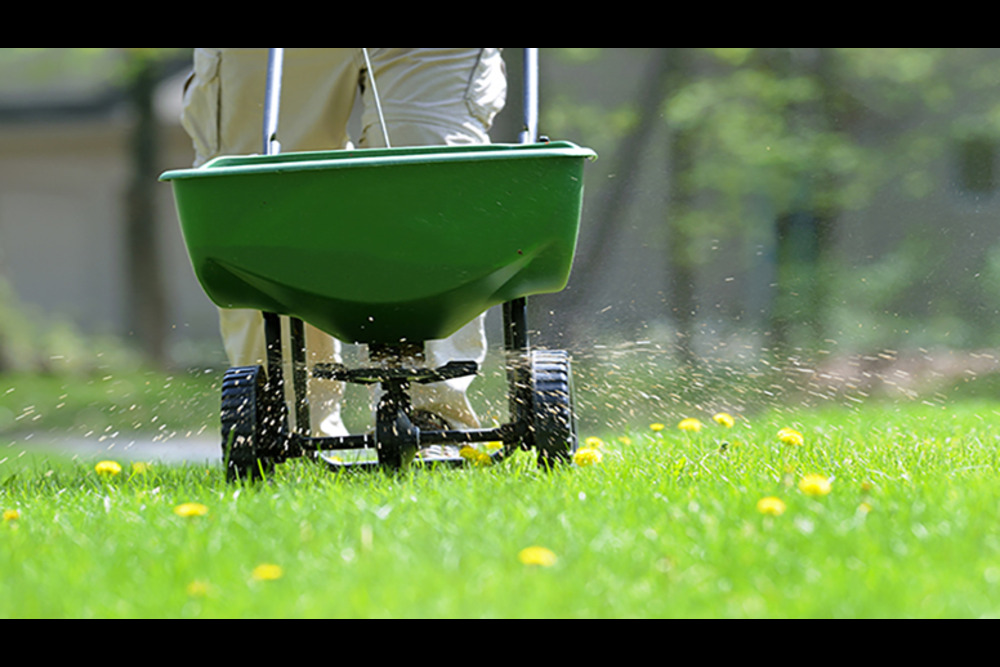fertilizing your lawn in calgary