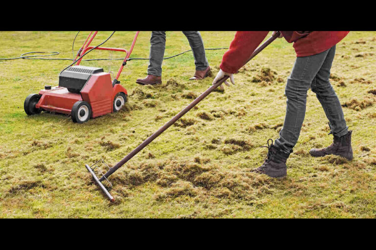 5 Essential Calgary Power Raking Tips Lawn Lovers