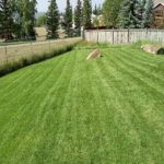 original-3FE31F93-9877-47BA-96A3-B33935E105CA