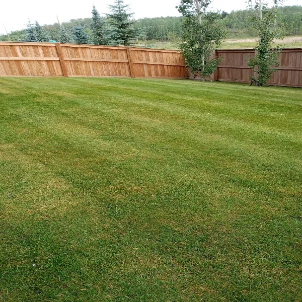 original-9D6B5B44-A969-4155-9427-925A0F3BF74D