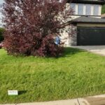 20250813_082210_17326154601149